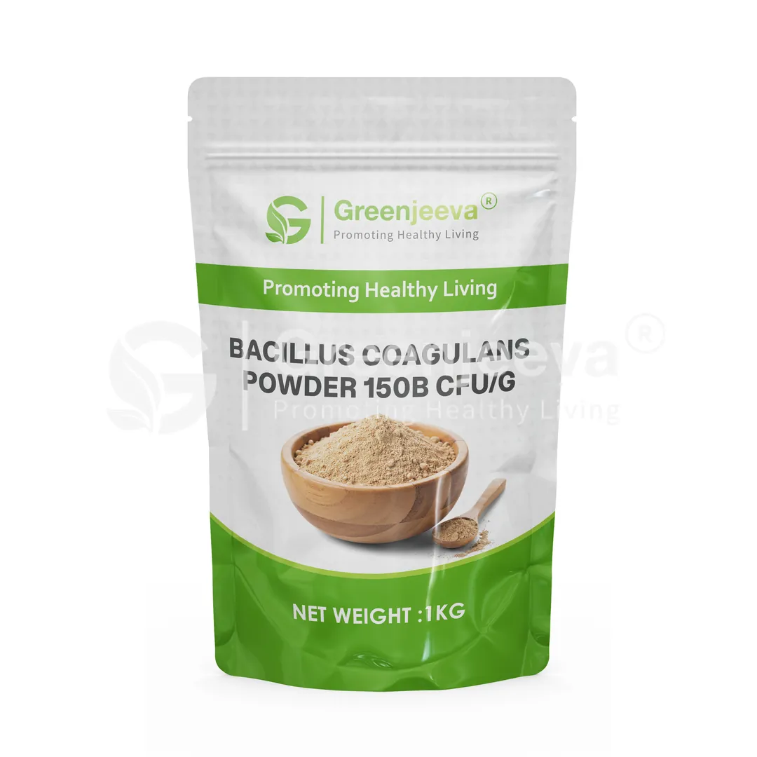 Bacillus coagulans Powder 150B CFU G Pouch Bacillus coagulans Powder 150B CFU G Pouch